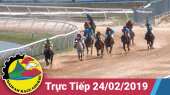 Trường Đua Đại Nam Ngày 24/02/2019 - Đua Ngựa