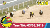 Trường Đua Đại Nam Ngày 03/03/2019 - 16:00