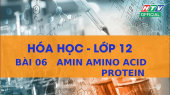 Kết Nối Giờ Thứ 6 - Môn Hóa Lớp 12 Bài 06 : Amin Amino Acid Protein 