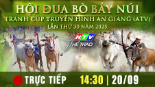 TRỰC TIẾP : HỘI ĐUA BÒ BẢY NÚI - TRANH CÚP TRUYỀN HÌNH AN GIANG (ATV) LẦN THỨ 30 NĂM 2025 : VÒNG TỨ KẾT, BÁN KẾT, CHUNG KẾT VÀ BẾ MẠC, PHÁT THƯỞNG