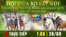 TRỰC TIẾP : HỘI ĐUA BÒ BẢY NÚI - TRANH CÚP TRUYỀN HÌNH AN GIANG (ATV) LẦN THỨ 30 NĂM 2025 : LỄ KHAI MẠC VÀ THI ĐẤU VÒNG LOẠI