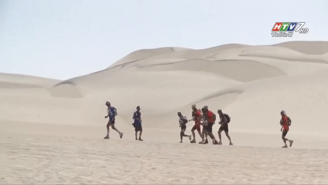 Xem Video Clip Điểm Tin Thể Thao Chặng Cuối Giải Marathon Vượt Sa Mạc HD Online.