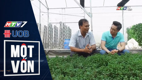 Xem Show TV SHOW Một Vốn Tập 16 : Nông dân kinh doanh nông nghiệp công nghệ HD Online.