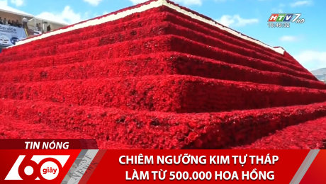 Xem Clip Chiêm Ngưỡng Kim Tự Tháp Làm Từ 500.000 Hoa Hồng HD Online.