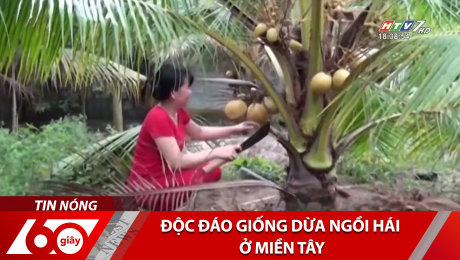 Xem Clip Độc Đáo Giống Dừa Ngồi Hái Ở Miền Tây HD Online.