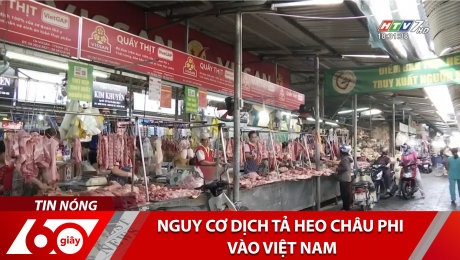 Xem Clip Nguy Cơ Dịch Tả Heo Châu Phi Vào Việt Nam HD Online.