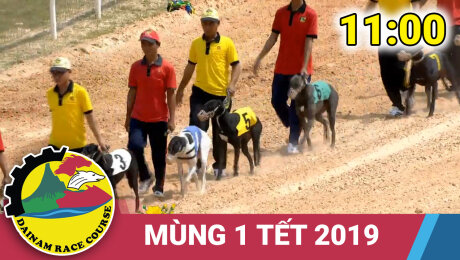 Xem Show TRUYỀN HÌNH THỰC TẾ Trường Đua Đại Nam Ngày 04/02/2019 - Mùng 1 Tết - 11h HD Online.