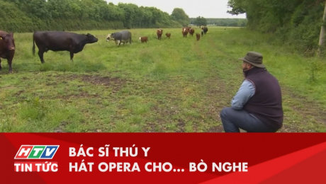 Xem Clip Bác Sĩ Thú Y Mê Hát Opera Cho Bò Nghe HD Online.