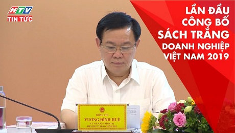 Xem Clip Lần Đầu Công Bố Sách Trắng Doanh Nghiệp Việt Nam 2019 HD Online.