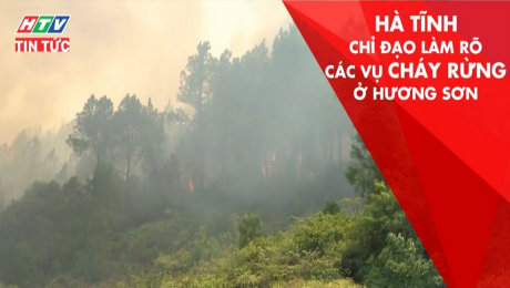 Xem Clip Hà Tĩnh Chỉ Đạo Làm Rõ Các Vụ Cháy Rừng Ở Hương Sơn HD Online.