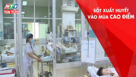 Xem Clip Sốt Xuất Huyết Vào Mùa Cao Điểm HD Online.