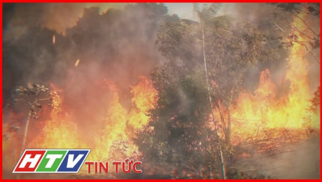 Xem Clip Vấn Đề "Cháy Rừng Amazon" Chưa Được Quan Tâm Đúng Mức HD Online.