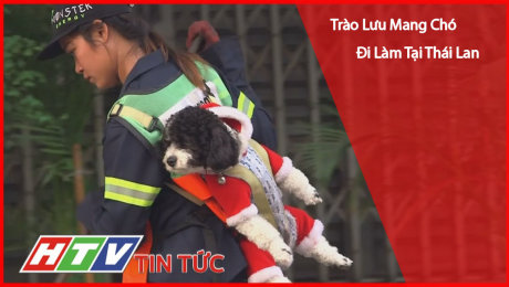 Xem Clip Trào Lưu Mang Chó Đi Làm Tại Thái Lan HD Online.