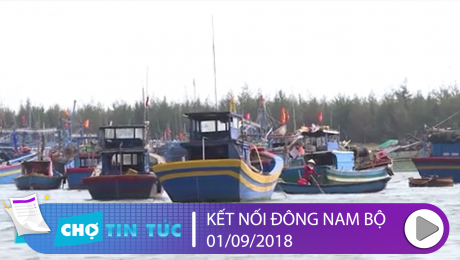 Xem Clip Kết Nối Đông Nam Bộ 01/09/2019 HD Online.