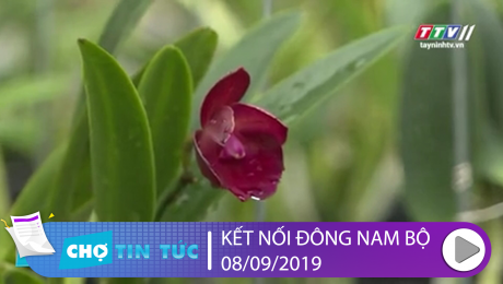 Xem Clip Kết Nối Đông Nam Bộ 08/09/2019 HD Online.