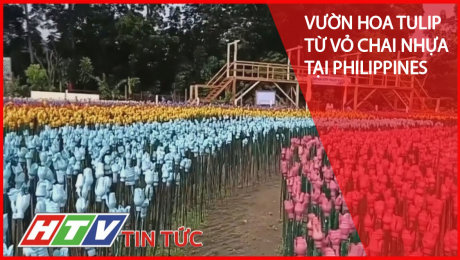 Xem Clip Vườn Hoa Tulip Từ Vỏ Chai Nhựa Tại Philippines HD Online.