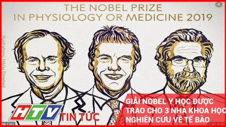 Xem Clip Giải Nobel Y Học Được Trao Cho 3 Nhà Khoa Học Nghiên Cứu Về Tế Bào HD Online.