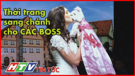 Xem Clip Thời Trang Haute Couture Cho Chó Cưng HD Online.