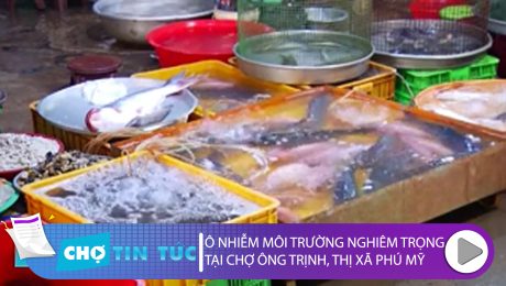 Xem Clip Ô nhiễm môi trường nghiêm trọng tại chợ ông Trịnh, thị xã Phú Mỹ HD Online.
