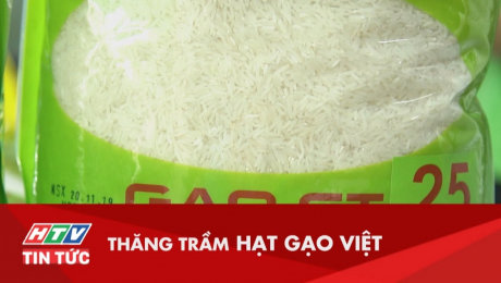 Xem Clip Thăng Trầm Hạt Gạo Việt HD Online.