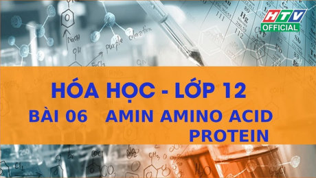 Xem Show VĂN HÓA - GIÁO DỤC Kết Nối Giờ Thứ 6 - Môn Hóa Lớp 12 Bài 06 : Amin Amino Acid Protein  HD Online.