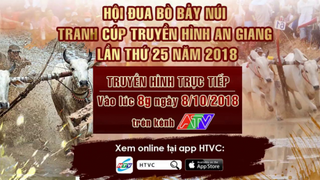 Xem Show LIVE EVENTS Hội đua bò bảy núi An Giang 2018 HD Online.