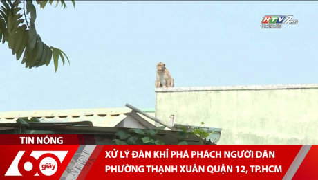 Xem Clip Xử Lý Đàn Khỉ Phá Phách Người Dân Phường Thạnh Xuân Quận 12, TP.HCM HD Online.