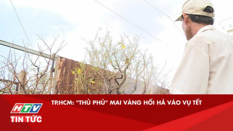 Xem Clip TP.HCM : "Thủ Phủ" Mai Vàng Hối Hả Vào Vụ Tết HD Online.