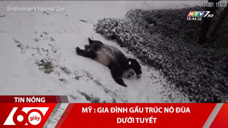 Xem Clip Mỹ : Gia Đình Gấu Trúc Nô Đùa Dưới Tuyết HD Online.