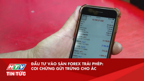 Xem Clip Đầu tư vào sàn forex trái phép : coi chừng gửi trứng cho ác HD Online.