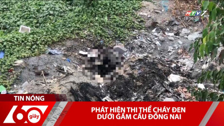 Xem Clip Phát Hiện Thi Thể Cháy Đen Dưới Gầm Cầu Đồng Nai HD Online.