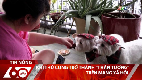 Xem Clip Khi Thú Cưng Trở Thành "Thần Tượng" Trên Mạng Xã Hội HD Online.