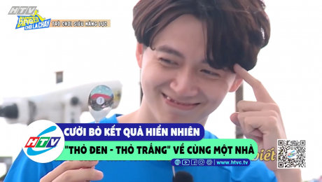 Xem Show CLIP HÀI Cười bò kết quả hiển nhiên "thỏ đen - thỏ trắng" về cùng một nhà HD Online.