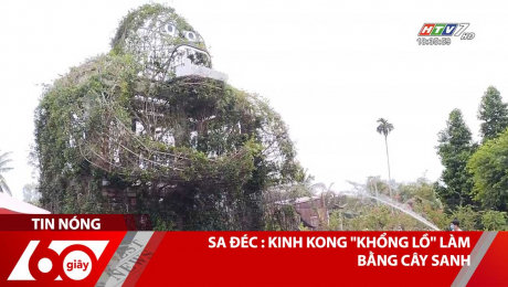 Xem Clip Sa Đéc : Kinh Kong "Khổng Lồ" Làm Bằng Cây Sanh HD Online.