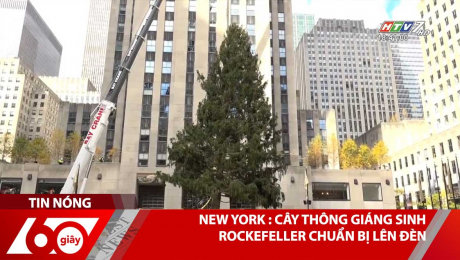 Xem Clip New York : Cây Thông Giáng Sinh Rockefeller Chuẩn Bị Lên Đèn HD Online.