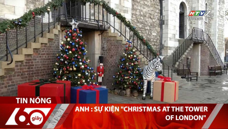 Xem Clip Anh : Sự Kiện "Christmas At The Tower Of London" HD Online.