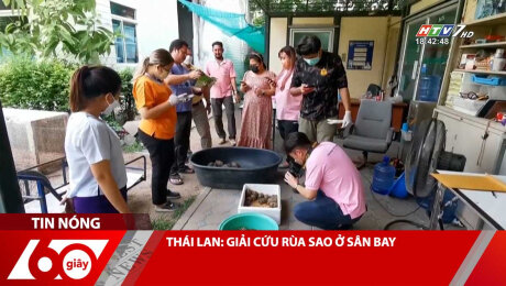 Xem Clip THÁI LAN: GIẢI CỨU RÙA SAO Ở SÂN BAY HD Online.