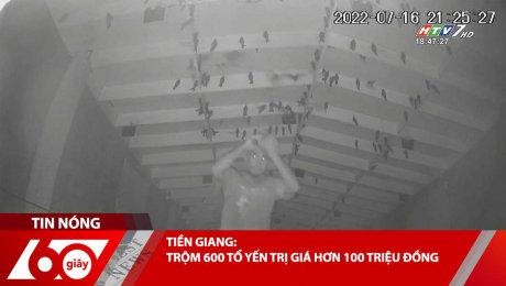 Xem Clip TIỀN GIANG: TRỘM 600 TỔ YẾN TRỊ GIÁ HƠN 100 TRIỆU ĐỒNG HD Online.