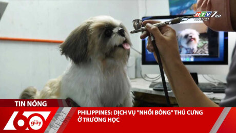 Xem Clip PHILIPPINES: DỊCH VỤ "NHỒI BÔNG" THÚ CƯNG HD Online.