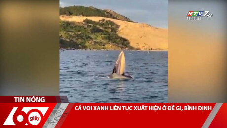 Xem Clip CÁ VOI XANH LIÊN TỤC XUẤT HIỆN Ở ĐỀ GI, BÌNH ĐỊNH HD Online.