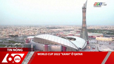 Xem Clip WORLD CUP 2022 "XANH" Ở QATAR HD Online.