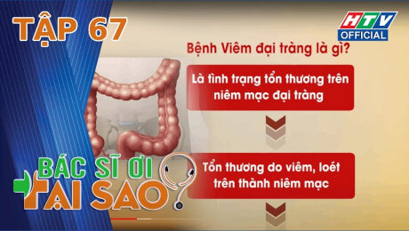Xem Show TV SHOW Bác Sĩ Ơi Tại Sao Tập 67 :  Điều trị viêm đại tràng bằng phương pháp nào cho hiệu quả? HD Online.