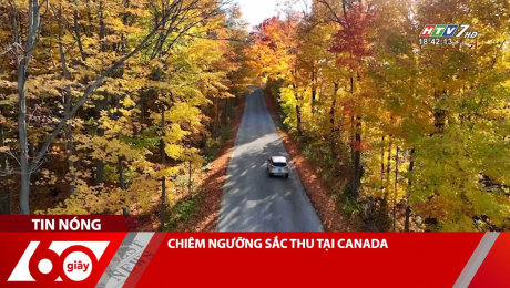 Xem Clip CHIÊM NGƯỠNG SẮC THU TẠI CANADA HD Online.