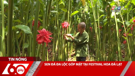 Xem Clip SEN ĐÁ ĐA LỘC GÓP MẶT TẠI FESTIVAL HOA ĐÀ LẠT HD Online.