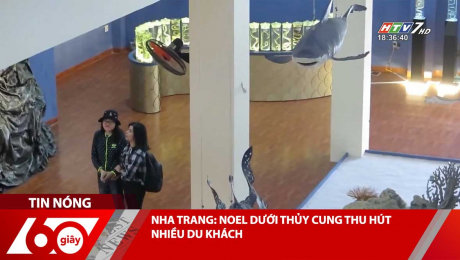 Xem Clip NHA TRANG: NOEL DƯỚI THỦY CUNG THU HÚT NHIỀU DU KHÁCH HD Online.