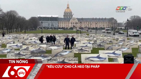 Xem Clip "KÊU CỨU" CHO CÁ HEO TẠI PHÁP HD Online.