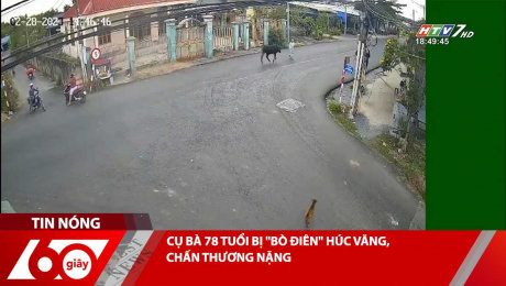 Xem Clip CỤ BÀ 78 TUỔI BỊ "BÒ ĐIÊN" HÚC VĂNG, CHẤN THƯƠNG NẶNG HD Online.