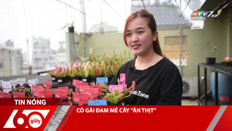 Xem Clip CÔ GÁI ĐAM MÊ CÂY "ĂN THỊT" HD Online.