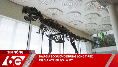 Xem Clip ĐẤU GIÁ BỘ XƯƠNG KHỦNG LONG T-REX TRỊ GIÁ 6 TRIỆU ĐÔ LA MỸ HD Online.