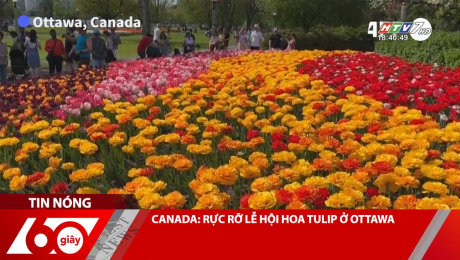 Xem Clip CANADA: RỰC RỠ LỄ HỘI HOA TULIP Ở OTTAWA HD Online.